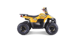 Tao-motor-Mudrock-110_5