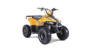 Tao-motor-Mudrock-110_6