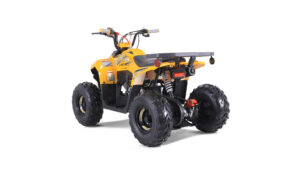 Tao-motor-Mudrock-110_8