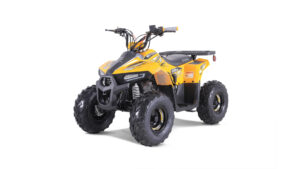 Tao-motor-Mudrock-110_9-1