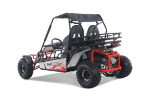 TAO_Motors_BajaSport_200_rear_driver3Q_red-scaled-1
